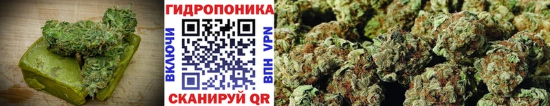 Canna-Cookies конопля  Ковров 