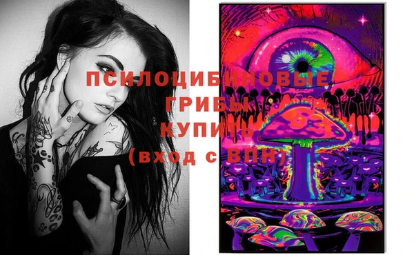 дурь Абаза