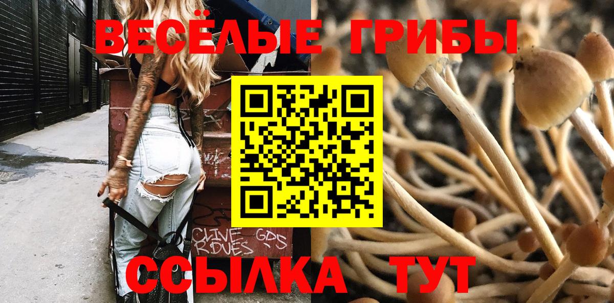 Галлюциногенные грибы прущие грибы Ковров