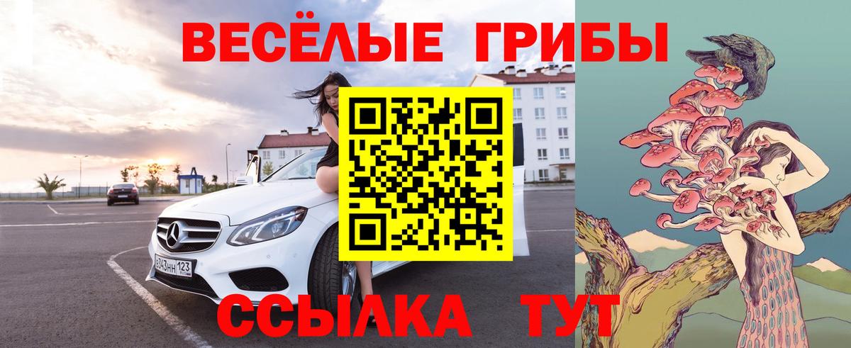 наркотики  Галлюциногенные грибы GOLDEN TEACHER  Вход с VPN  Ковров 